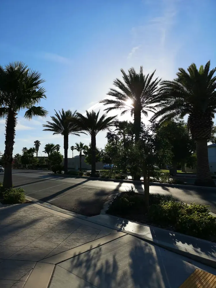 半岛体育登录-博尔德城取得胜利，提升排名的简单介绍