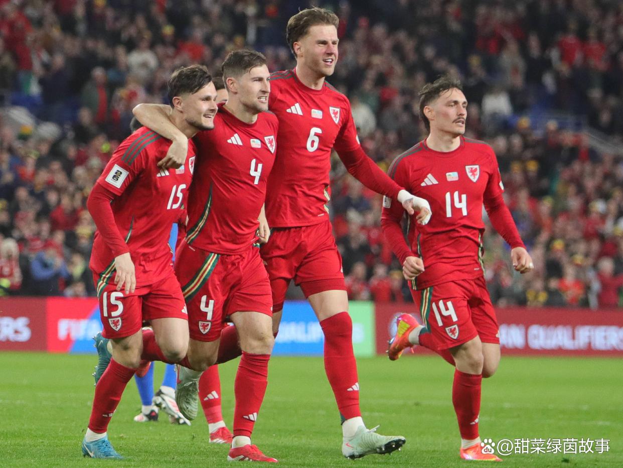 比利时队在篮球比赛中取得胜利